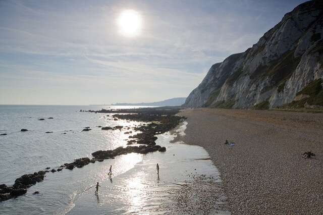 Beavers - Coastal Chaos