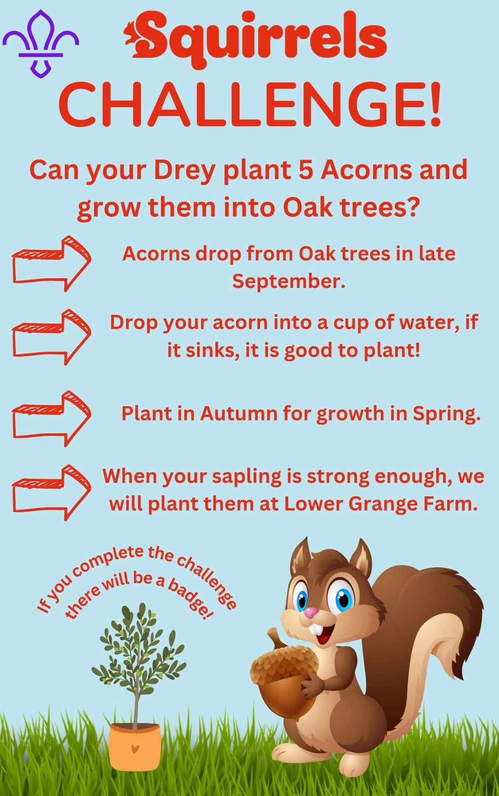 Squirrels - Acorn Challenge