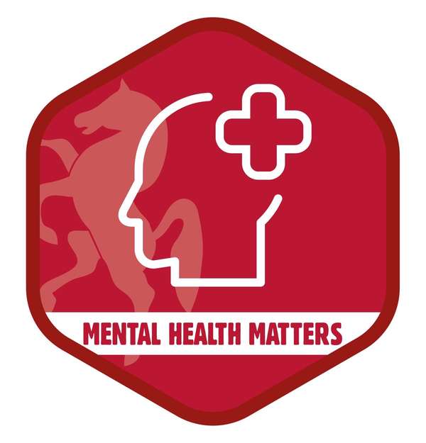 Mental Health Matters badge
